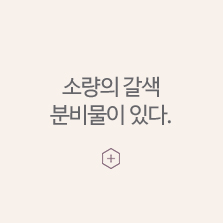 임신초기증상