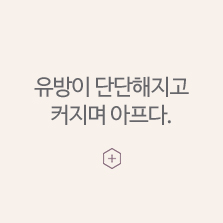 임신초기증상