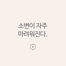 임신초기증상