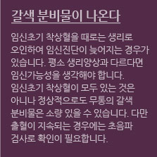 임신초기증상