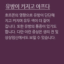 임신초기증상