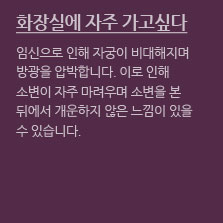 임신초기증상