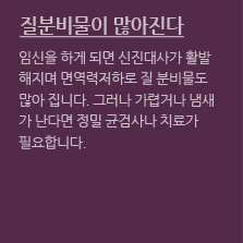 임신초기증상