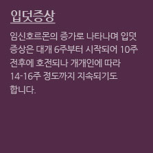 임신초기증상