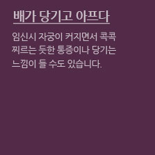 임신초기증상